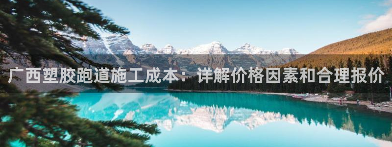 谈球吧官网在线入口免费观看：广西塑胶跑道施工成本：详解价格因素和合理报价