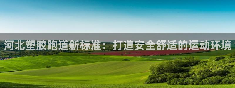 谈球吧体育app下载中心：河北塑胶跑道新标准：打造安全舒适的运动环境