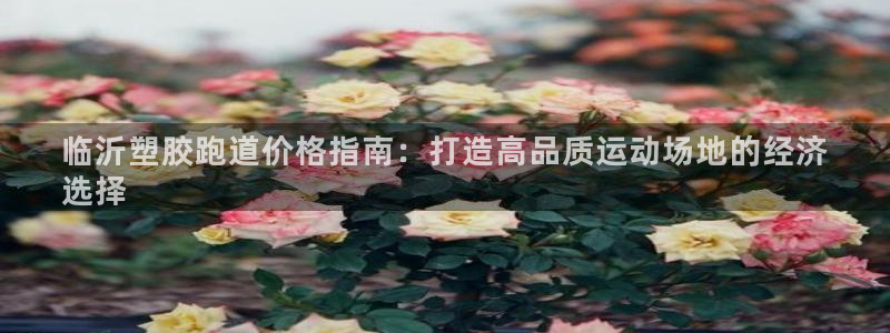 谈球吧体育app下载足球比赛：临沂塑胶跑道价格指南：打造高品质运动场地的经济
选择