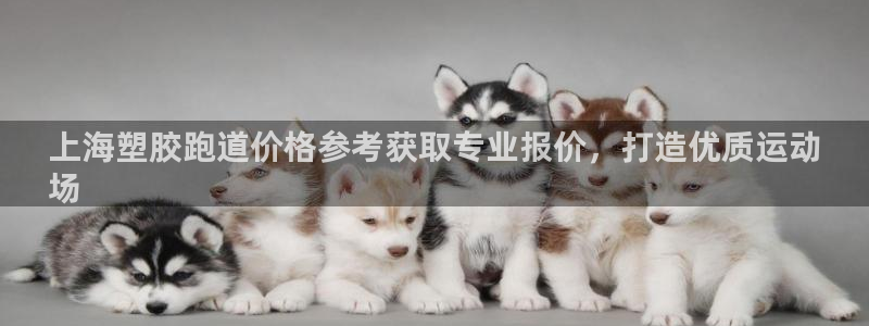 谈球吧app在哪里下载：上海塑胶跑道价格参考获取专业报价，打造优质运动
场