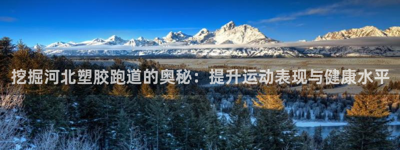 谈球吧的聊天软件：挖掘河北塑胶跑道的奥秘：提升运动表现与健康水平