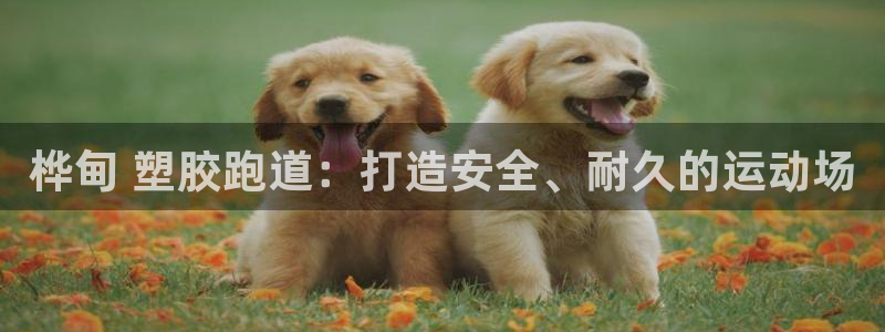 谈球吧言网入口：桦甸 塑胶跑道：打造安全、耐久的运动场
