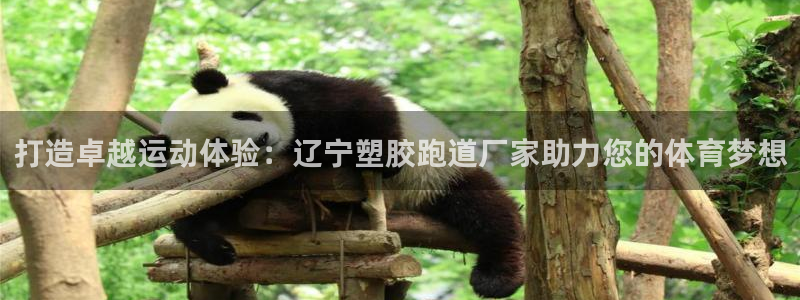 谈球吧是黑台子吗是真的吗：打造卓越运动体验：辽宁塑胶跑道厂家助力您的体育梦想