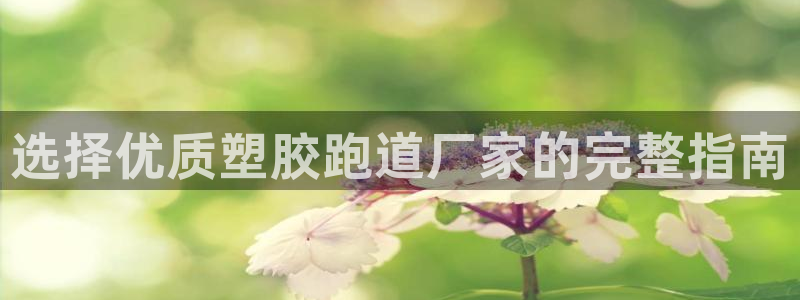谈球吧体育app下载中心官网苹果：选择优质塑胶跑道厂家的完整指南