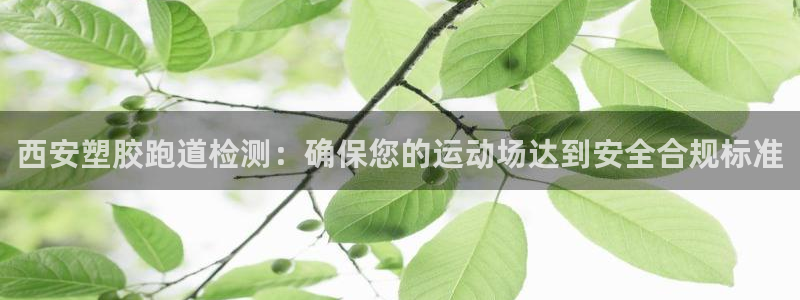 谈球吧体育官网在线入口免费观看：西安塑胶跑道检测：确