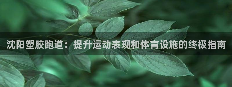 谈球吧App：沈阳塑胶跑道：提升运动表现和体育设施的终极指南