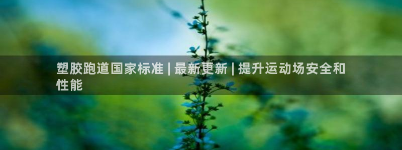 谈球吧平台app下载网址是什么：塑胶跑道国家标准 |