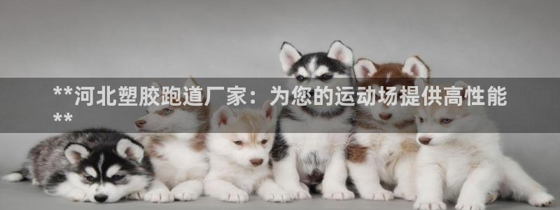 谈球吧官网app下载：**河北塑胶跑道厂家：为您的运动场提供高性能
**