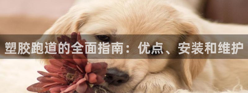 谈球吧平台：塑胶跑道的全面指南：优点、安装和维护