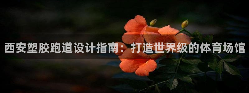 谈球吧论坛：西安塑胶跑道设计指南：打造世界级的体育场馆
