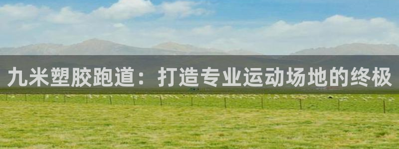 谈球吧体育app官网：九米塑胶跑道：打造专业运动场地