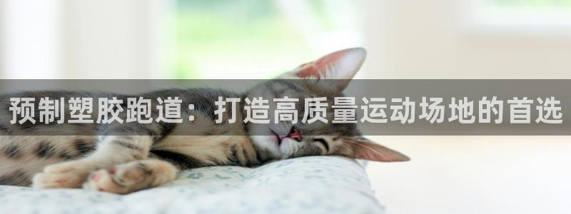 谈球吧体育app下载官网安卓：预制塑胶跑道：打造高质量运动场地的首选