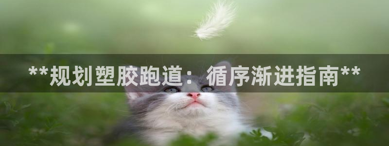 谈球吧app体育：**规划塑胶跑道：循序渐进指南**