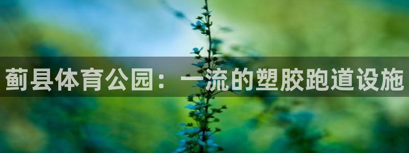 谈球吧app在哪里下载：蓟县体育公园：一流的塑胶跑道