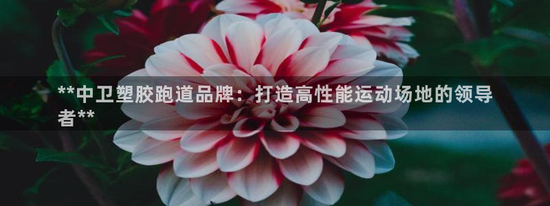 谈球吧App：**中卫塑胶跑道品牌：打造高性能运动场
