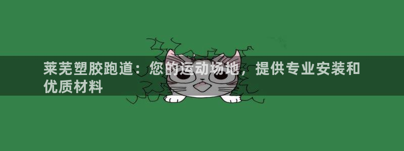 谈球吧论坛：莱芜塑胶跑道：您的运动场地，提供专业安装
