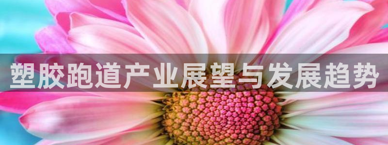 谈球吧平台app下载网址是什么：塑胶跑道产业展望与发