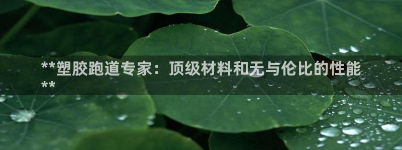 谈球吧-体育赛事：**塑胶跑道专家：顶级材料和无与伦