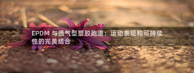谈球吧体育赛事入口：EPDM 与透气型塑胶跑道：运动表现和可持续
性的完美结合
