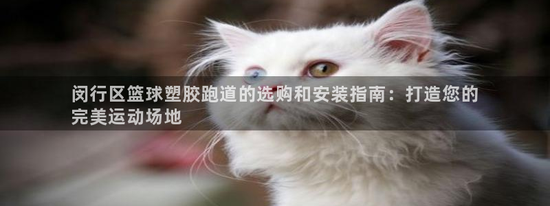 谈球吧App：闵行区篮球塑胶跑道的选购和安装指南：打