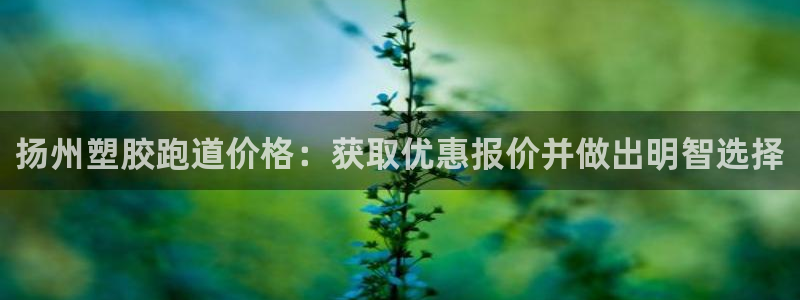 谈球吧怎么充值：扬州塑胶跑道价格：获取优惠报价并做出