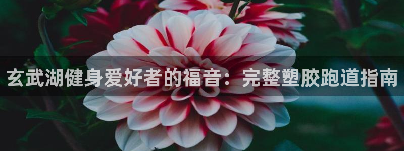 谈球吧官网在线入口免费观看视频下载：玄武湖健身爱好者