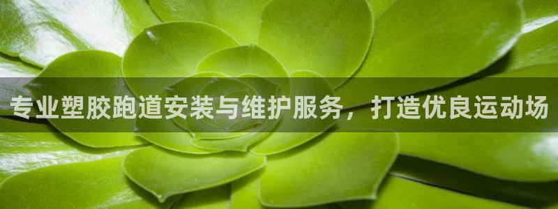 谈球吧体育官方入口：专业塑胶跑道安装与维护服务，打造