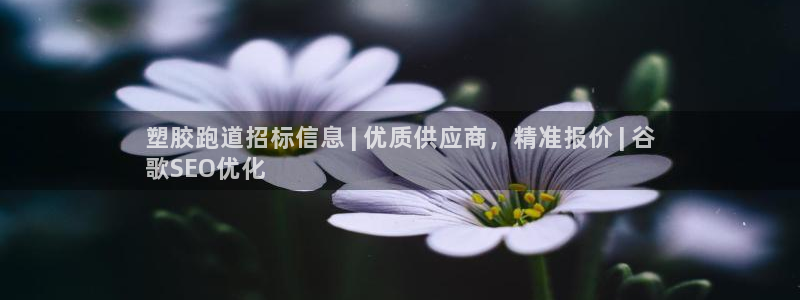 谈球吧出款：塑胶跑道招标信息 | 优质供应商，精准报