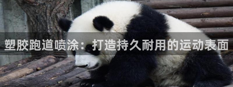 谈球吧出款怎样?：塑胶跑道喷涂：打造持久耐用的运动表