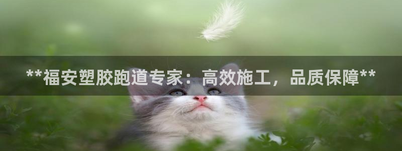 谈球吧体育app下载中心：**福安塑胶跑道专家：高效