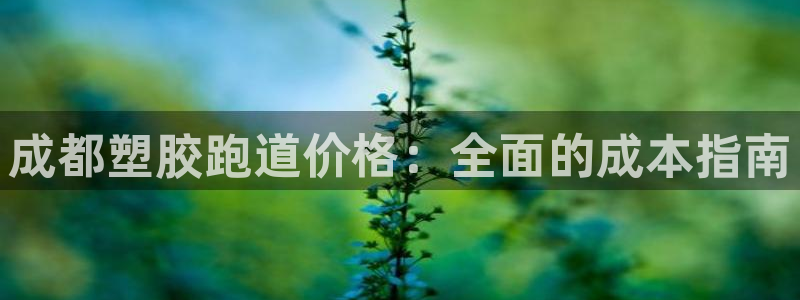 谈球吧是黑台子吗还是白台：成都塑胶跑道价格：全面的成