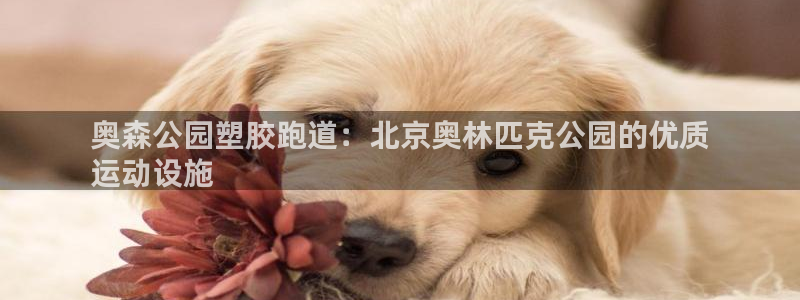 谈球吧出款：奥森公园塑胶跑道：北京奥林匹克公园的优质