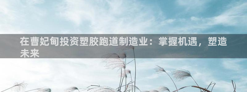 谈球吧app官网下载：在曹妃甸投资塑胶跑道制造业：掌