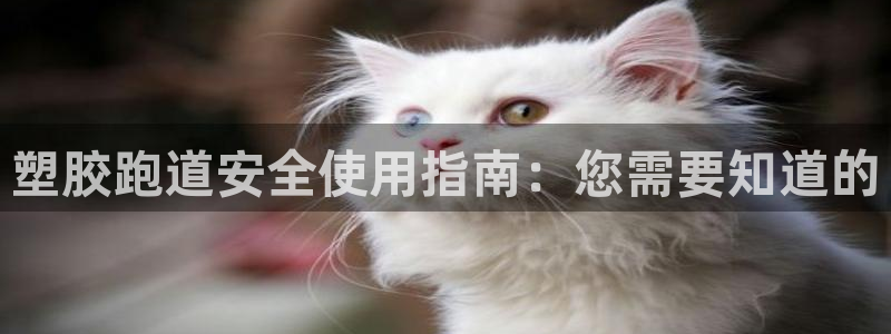 谈球吧App：塑胶跑道安全使用指南：您需要知道的