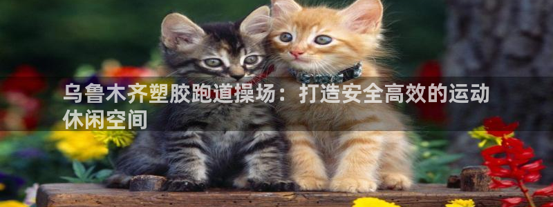 谈球吧体育app下载官网手机版苹果：乌鲁木齐塑胶跑道操场：打造安全高效的运动
休闲空间
