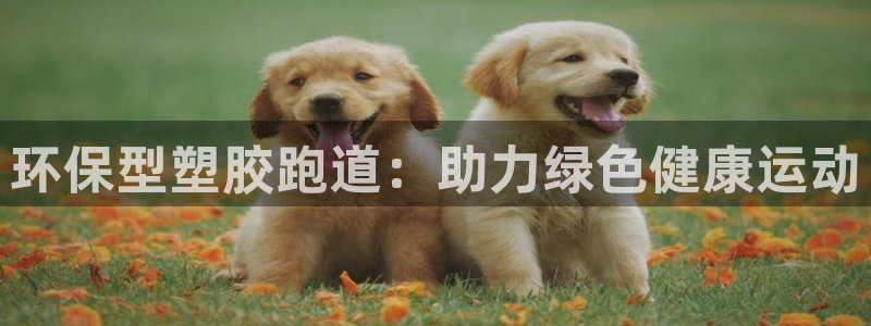 谈球吧是黑台子吗知乎：环保型塑胶跑道：助力绿色健康运