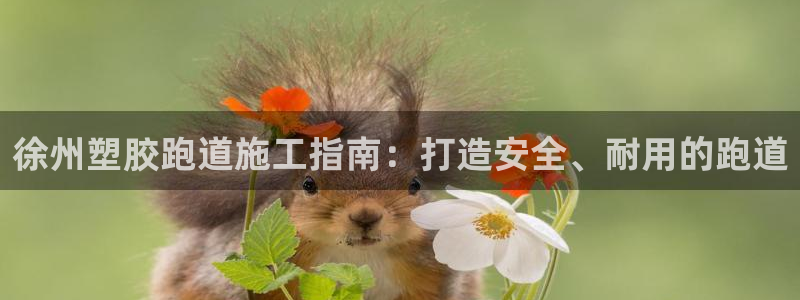 谈球吧是黑台子吗还是白台子：徐州塑胶跑道施工指南：打