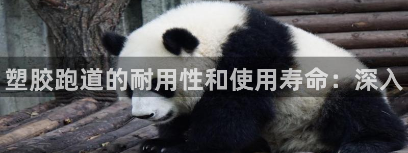 谈球吧与普通平台对比：塑胶跑道的耐用性和使用寿命：深入