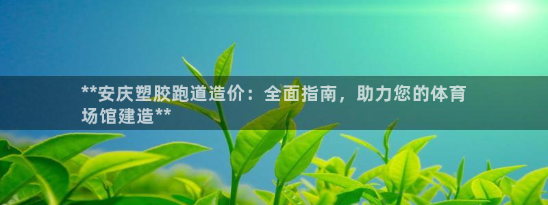 谈球吧官网app下载：**安庆塑胶跑道造价：全面指南，助力您