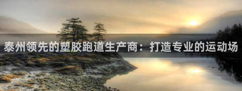 谈球吧体育综合：泰州领先的塑胶跑道生产商：打造专业的
