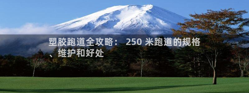 谈球吧的聊天软件：塑胶跑道全攻略： 250 米跑道的规格
、