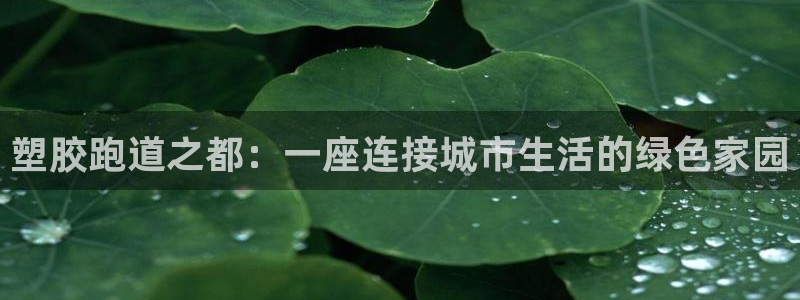 谈球吧官网在线入口免费观看高清版