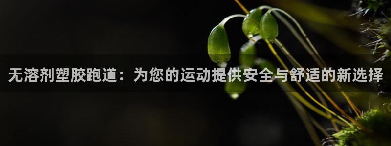 谈球吧体育app官网下载安装