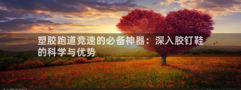 谈球吧网页登陆：塑胶跑道竞速的必备神器：深入胶钉鞋
