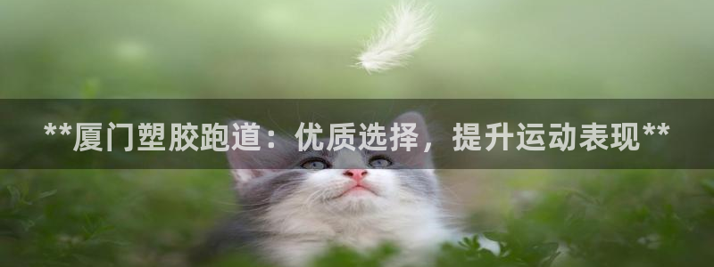 谈球吧app靠谱吗：**厦门塑胶跑道：优质选择，提升运动表现