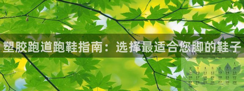 谈球吧官网在线入口：塑胶跑道跑鞋指南：选择最适合您脚