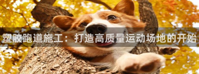 谈球吧(中国)官方网站