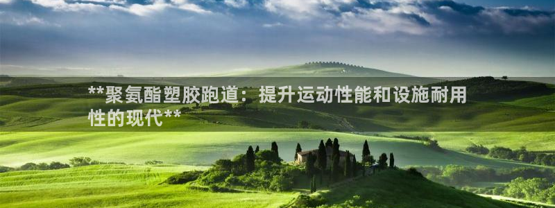 谈球吧言网入口：**聚氨酯塑胶跑道：提升运动性能和设施耐用
