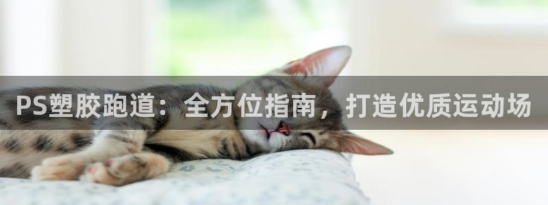 谈球吧平台app下载网址是什么：PS塑胶跑道：全方位指南，打