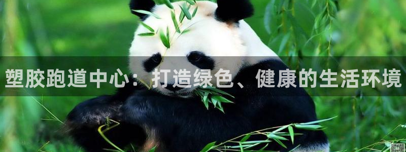 谈球吧综合官网app